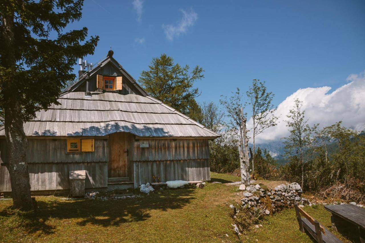 Chalet Orlica Velika Planina Stahovica Kültér fotó