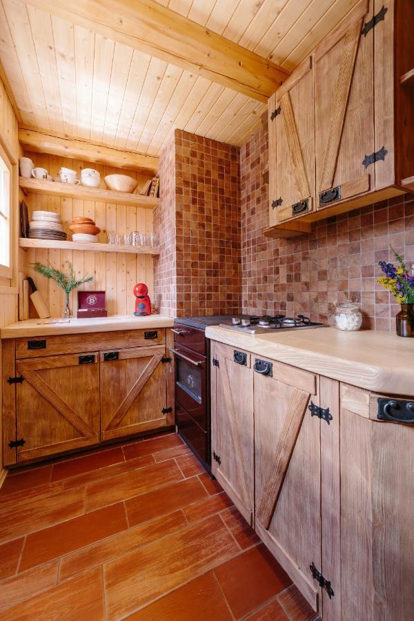 Chalet Orlica Velika Planina Stahovica Kültér fotó