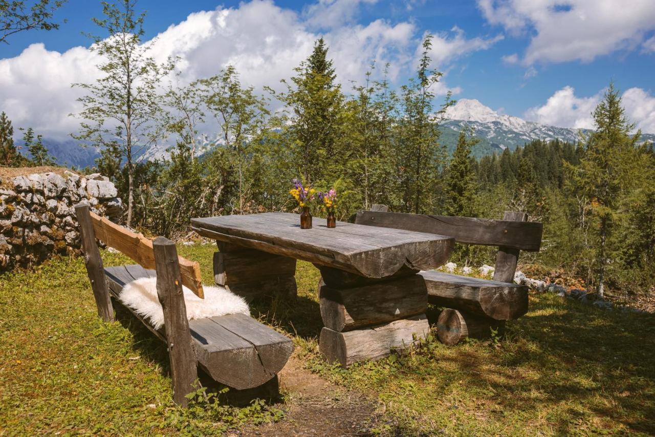 Chalet Orlica Velika Planina Stahovica Kültér fotó