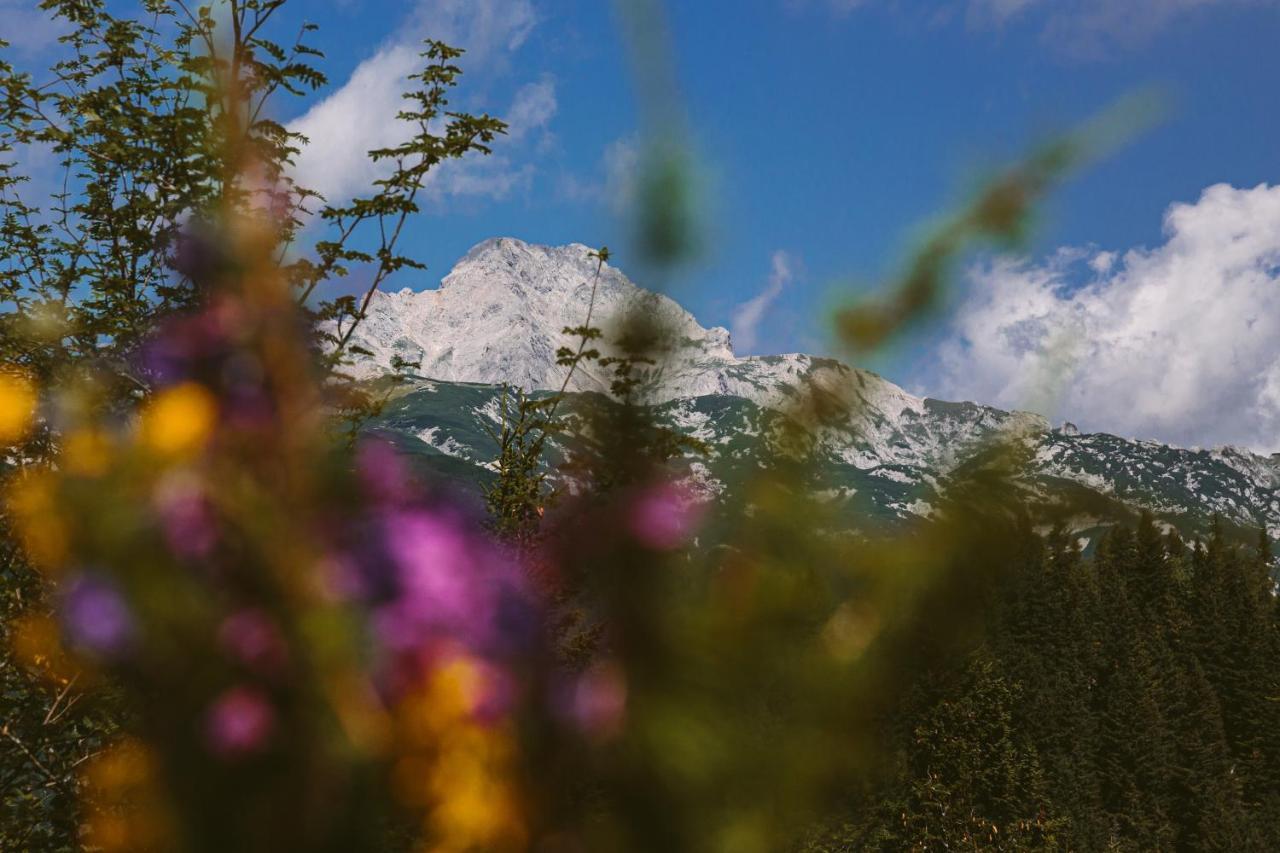 Chalet Orlica Velika Planina Stahovica Kültér fotó