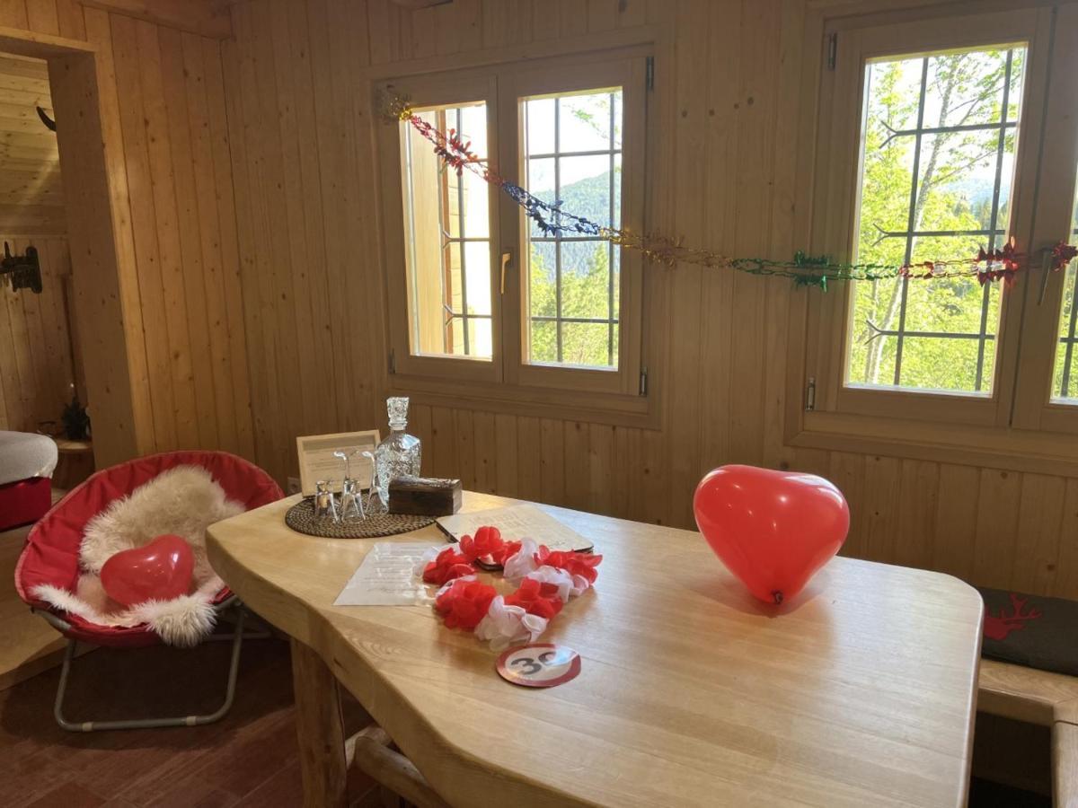 Chalet Orlica Velika Planina Stahovica Kültér fotó