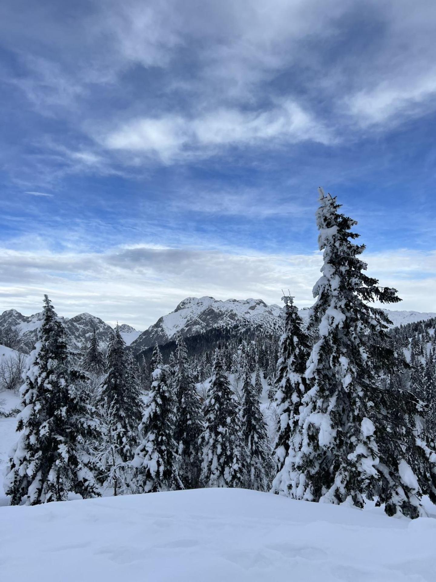 Chalet Orlica Velika Planina Stahovica Kültér fotó